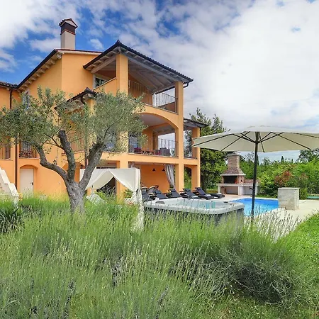 Ari Villa